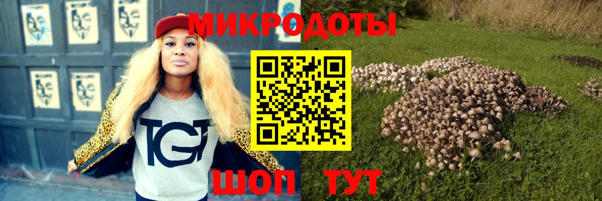 Псилоцибиновые грибы MAGIC MUSHROOMS Моздок